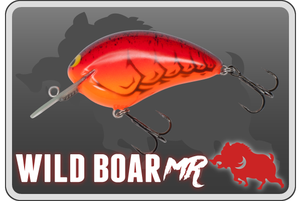MPB LURES | MPB LURES -Monster Panic Bite-