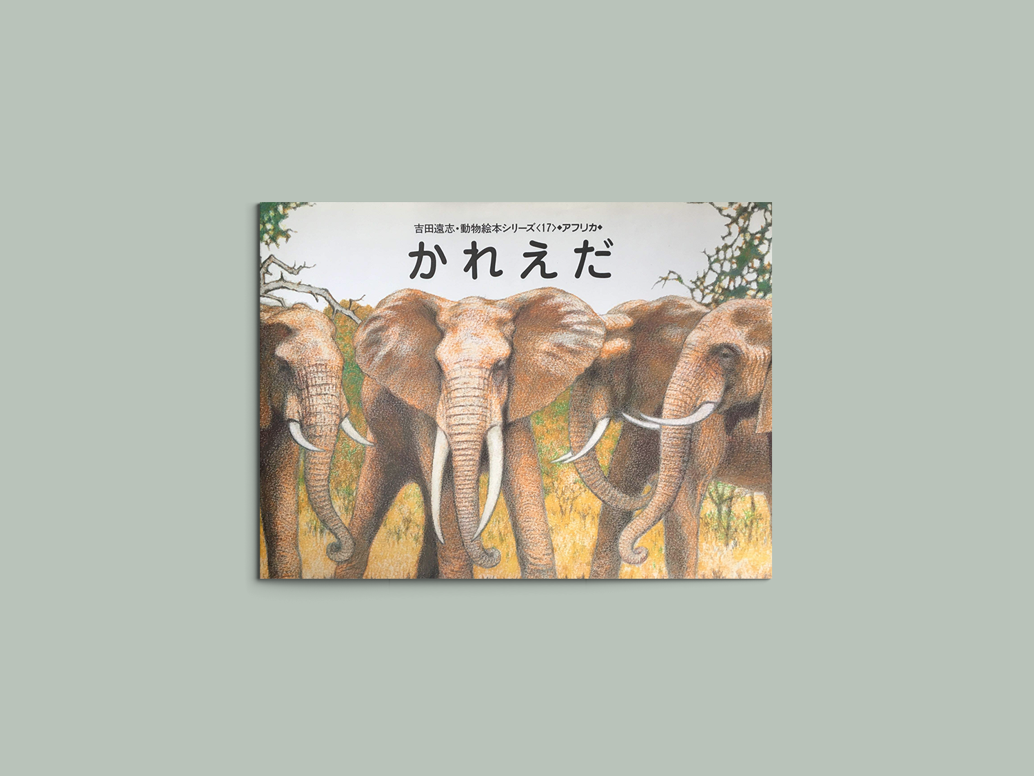 かれえだ 動物絵本シリーズ〈17〉アフリカ – niiiwa