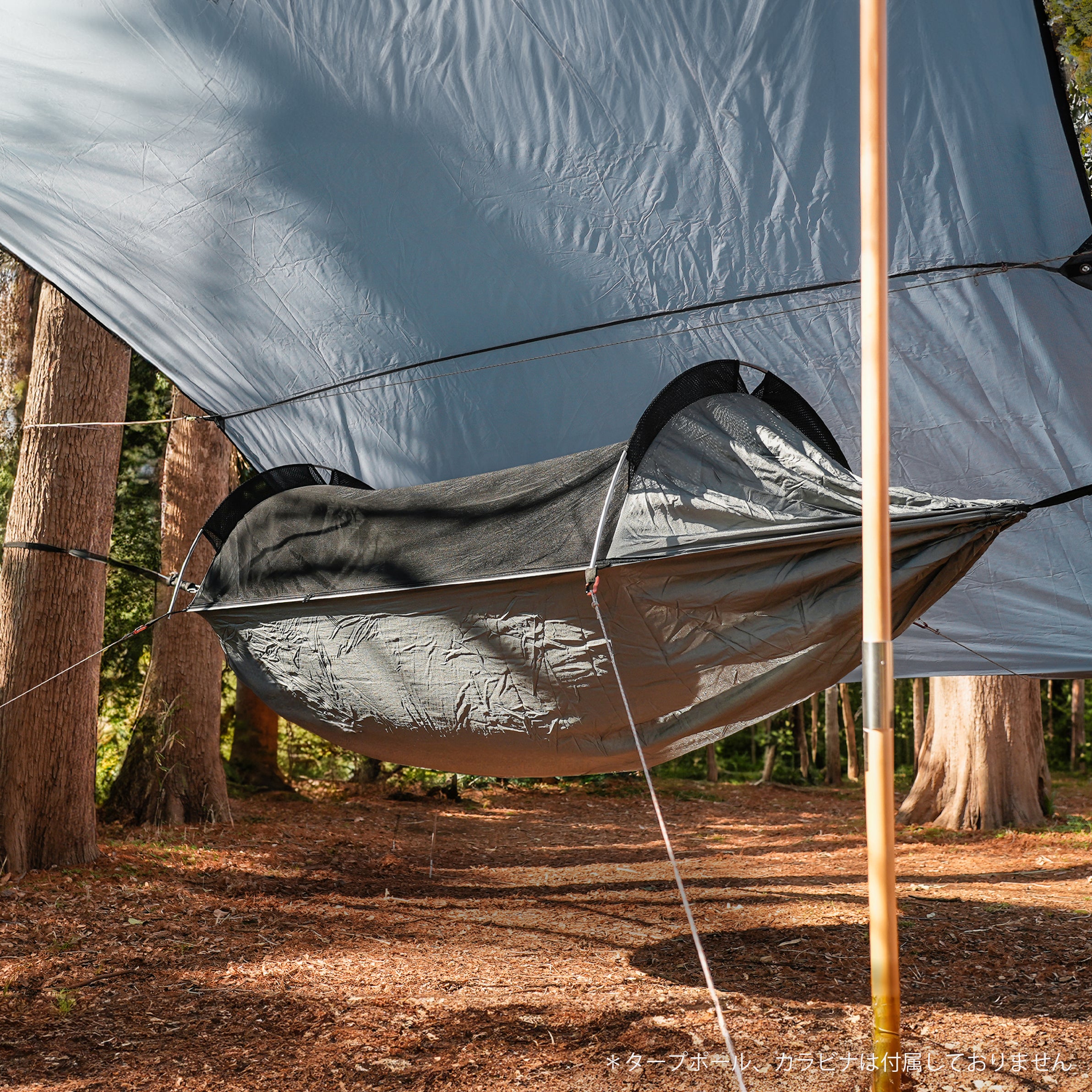 model_01_32581667-990f-4c62-