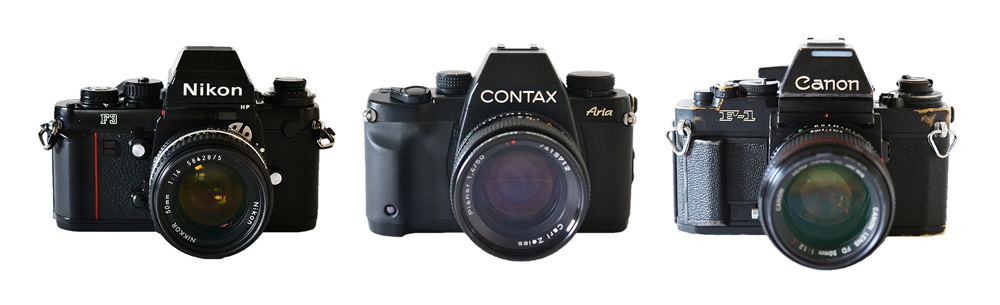 3つのフィルムカメラを比べてみました！フィルム一眼レフ編 | on and