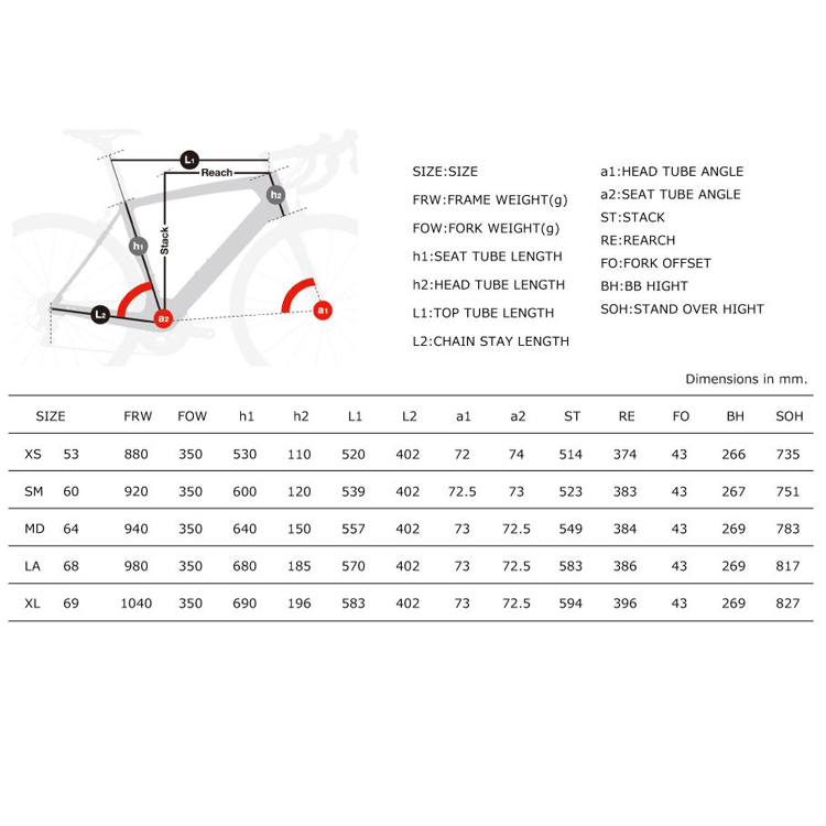 オカザキスポーツ / BH G6 Pro フレーム【ロードバイク】