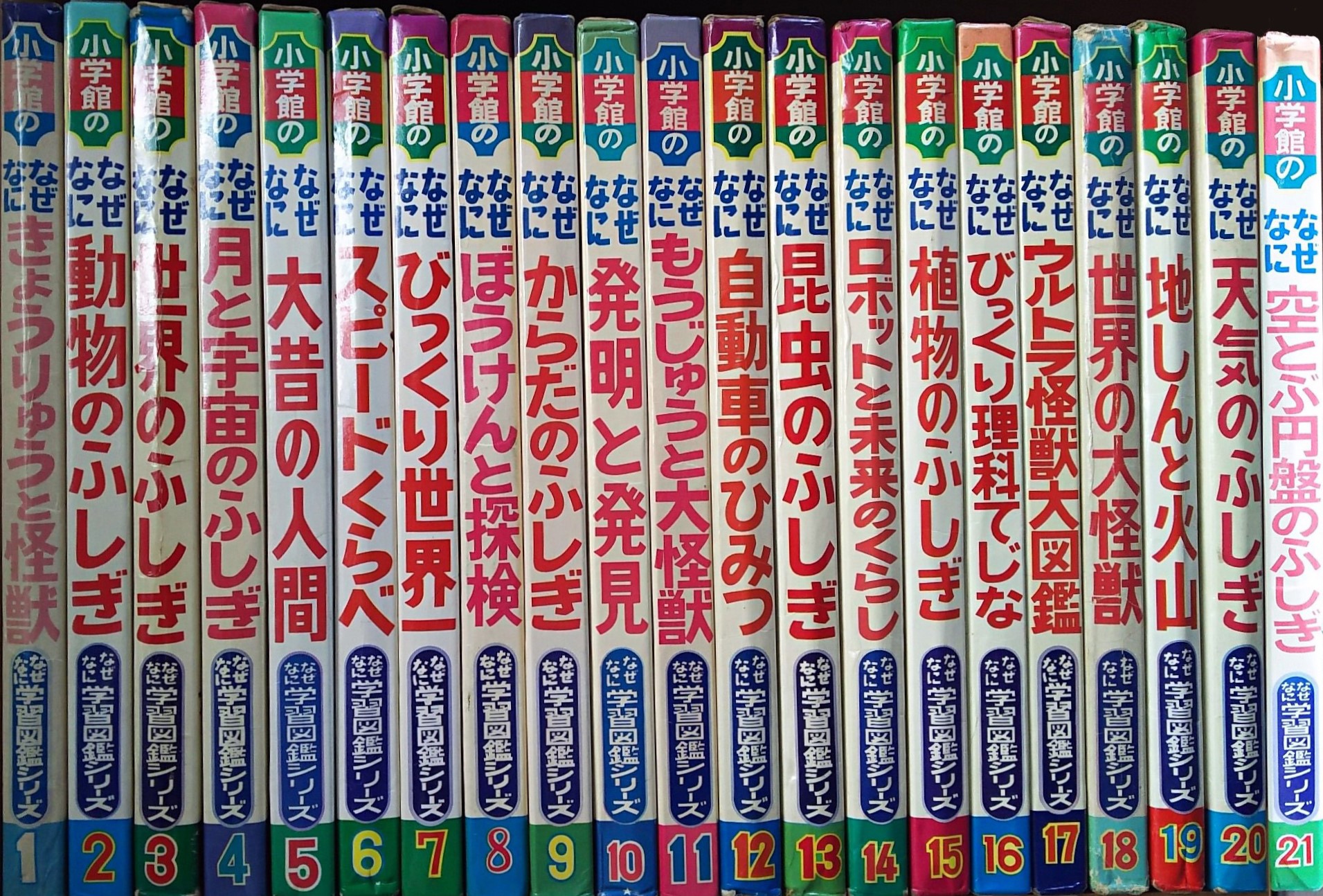 SF美術館