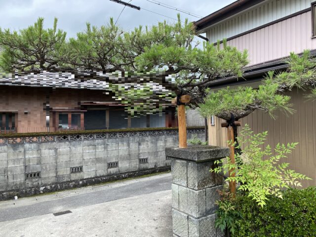 門かぶり松の支柱交換』 - クシダデンカ-三重県津市で省エネ家電