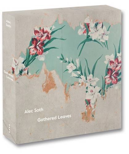 Gathered Leaves - Retrospective exhibition of Alec Soth | LensCulture