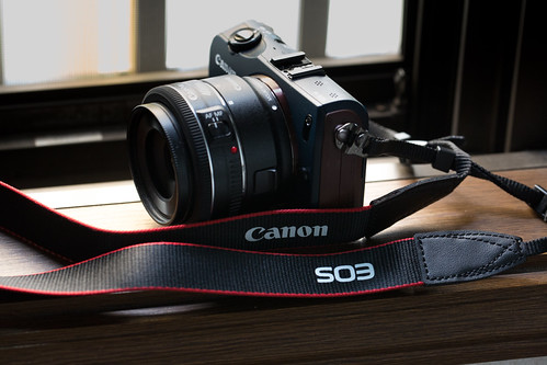 EOS M にDeff Indi 革ストラップをつける: mono-logue