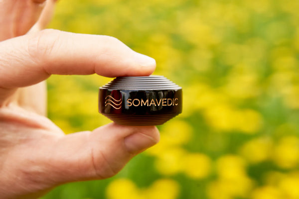 パワー・ブラック ポータブルボタン《ソマヴェディック》 – axismart-com