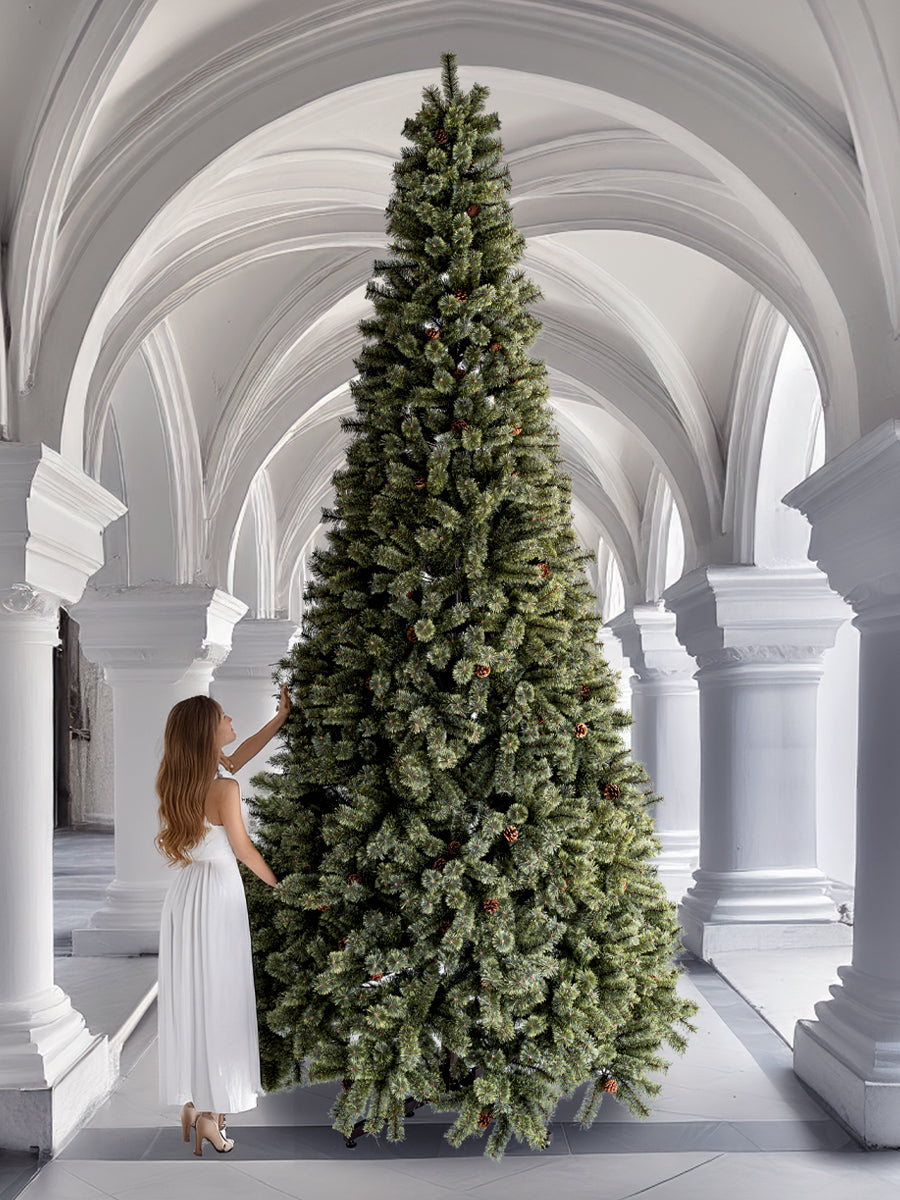 アルザスツリー 360cm énorme エノルム(特大) 樅 – alsace_tree