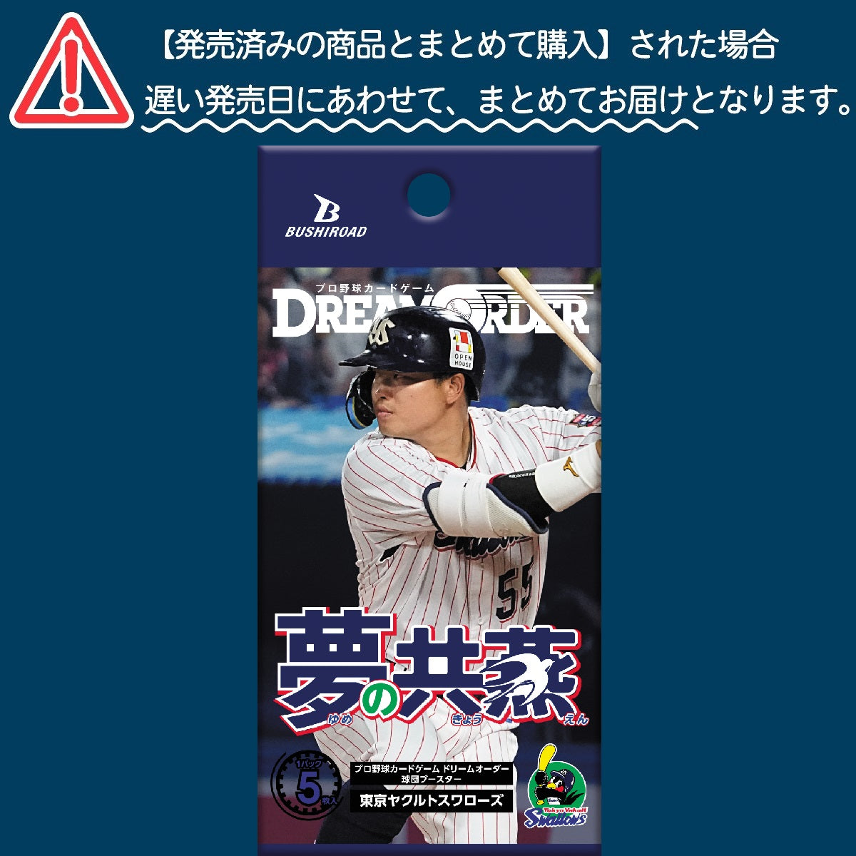 Pack_e579067d-9fed-4af6-949c-