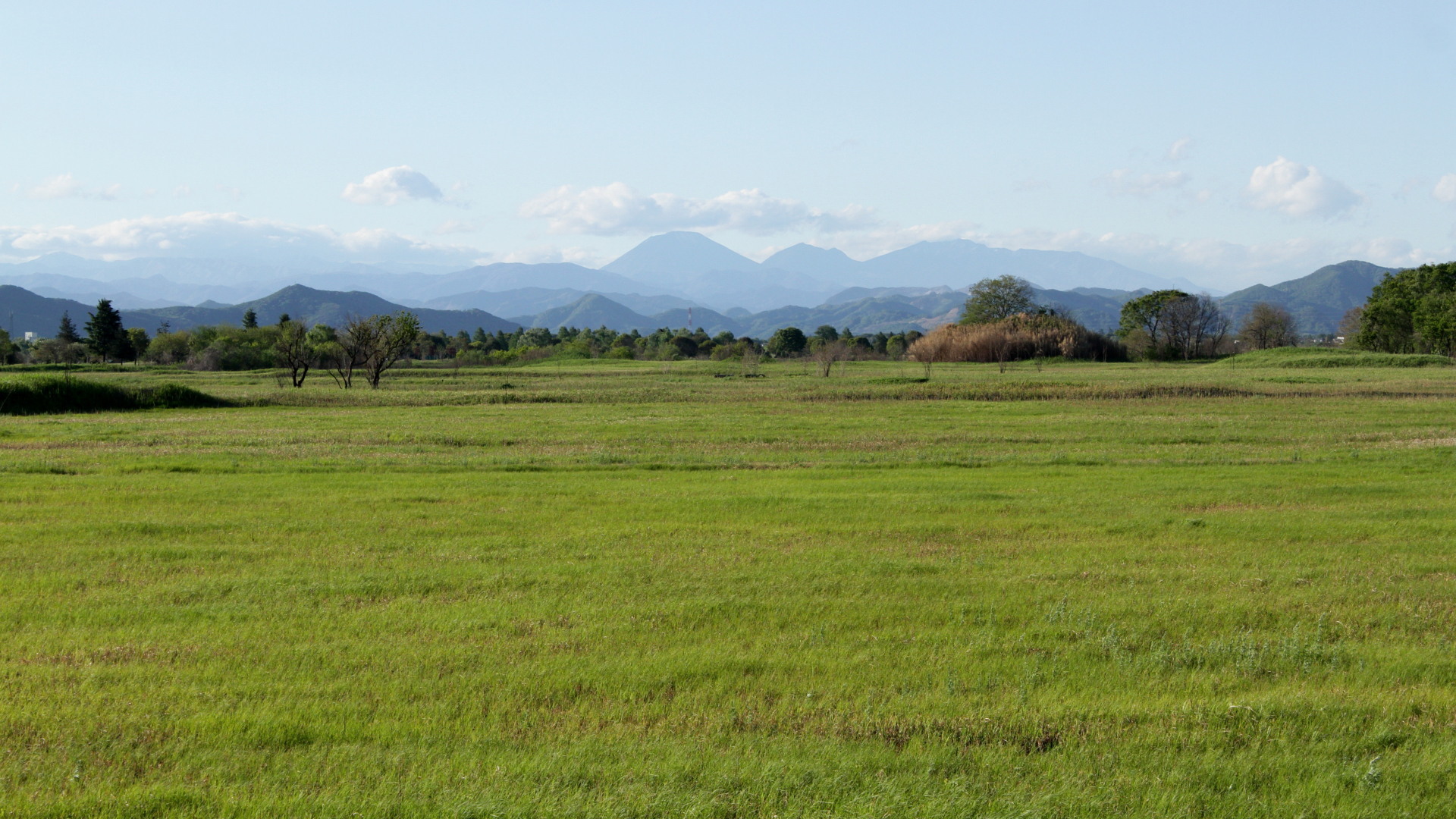 中西悟堂『定本野鳥記』全16巻目次一覧 - 環境保全史