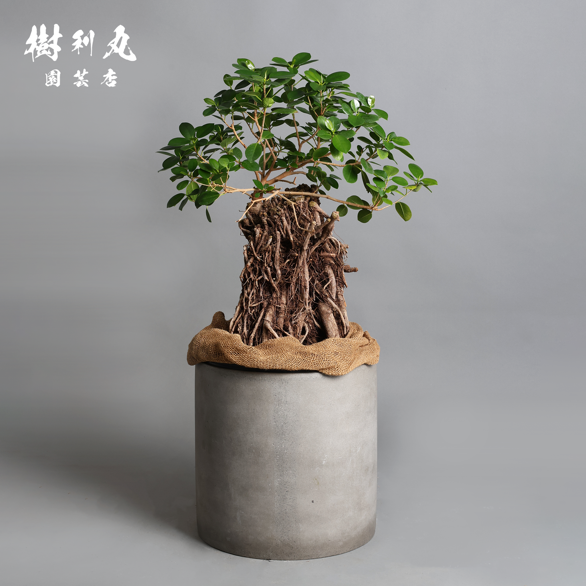 6B1A2846.png?v=1747833975