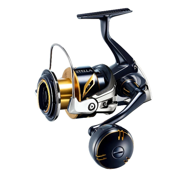SHIMANO STELLA SW 6000HG 2020 Japan Model