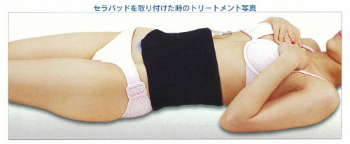 EMS /ボディセラプロ 痩身 EMS美容器 伊藤超短波 | 自費治療移行Navi