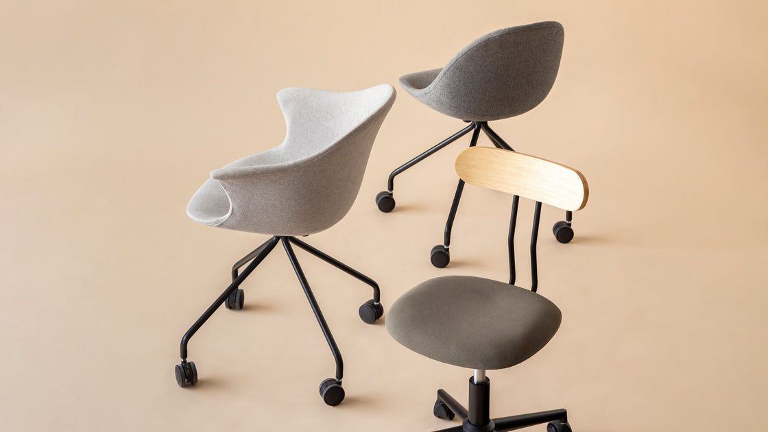 specialfeature-19-01_1200x630.