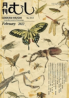 月刊むし（昆虫文献 六本脚）