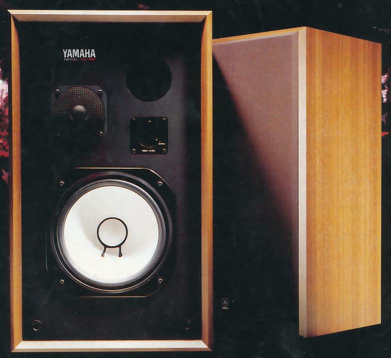 ns-451-h.jpg