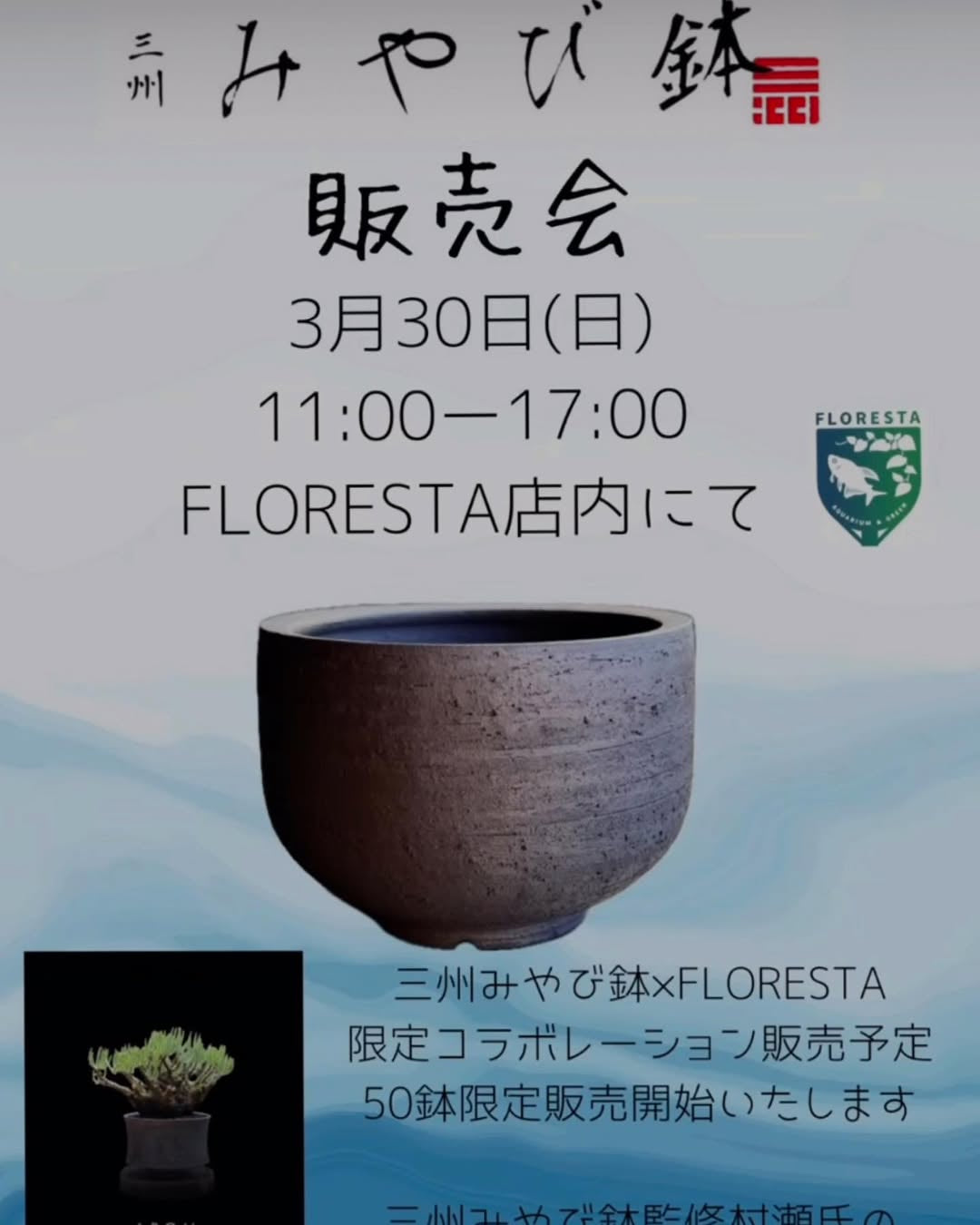 三州みやび鉢とFLORESTAが限定コラボ鉢を販売、千葉県木更津市で特別