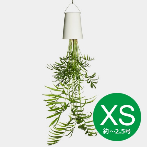 無題ドキュメント