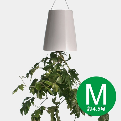 無題ドキュメント