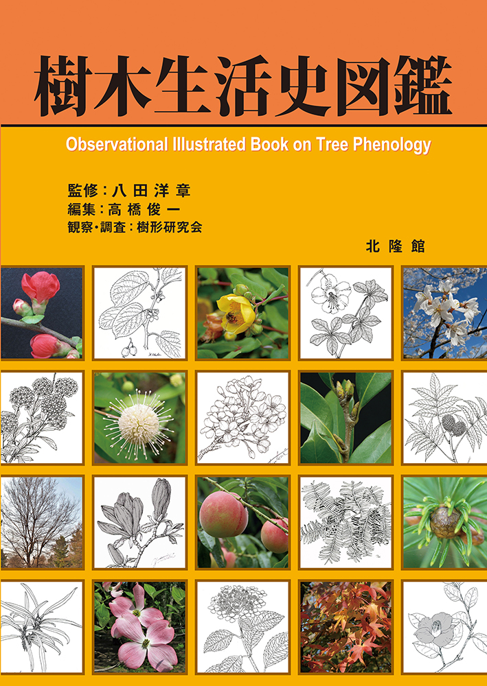 牧野植物図鑑原図集 ～牧野図鑑の成立～ 北隆館創業130年記念出版