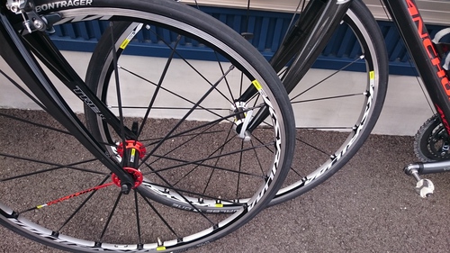 MAVICのミドルグレードホイール キシリウムエリート | サクラバイク