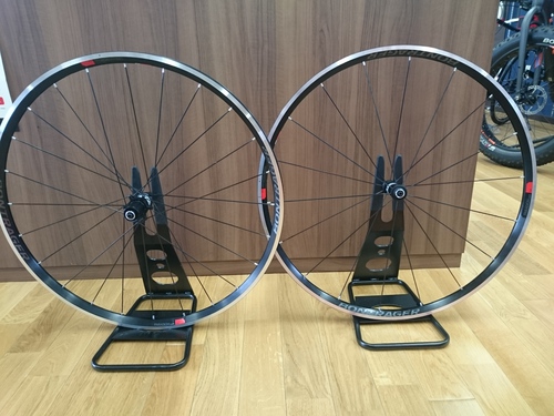 ワイドリム採用のミドルグレードホイール PARADIGM COMP TLR | サクラ