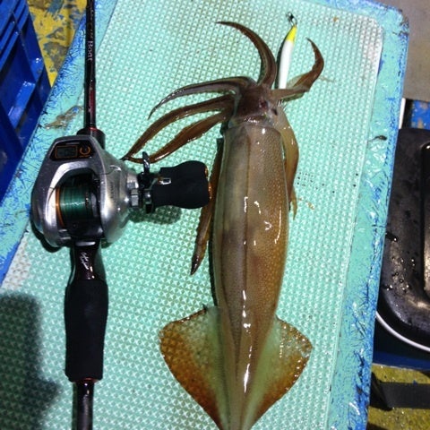 セフィアCI4+ Boat メタルスッテゲーム専用モデル いよいよ発売