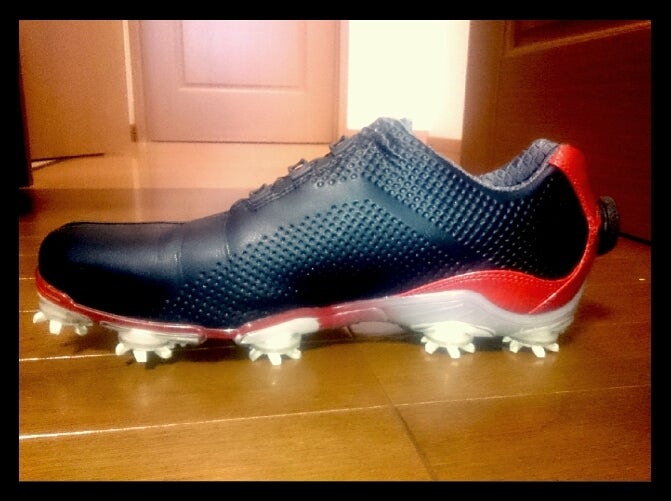 フットジョイ☆D.N.A BOA ゴルフシューズ♪ | 患者deニート