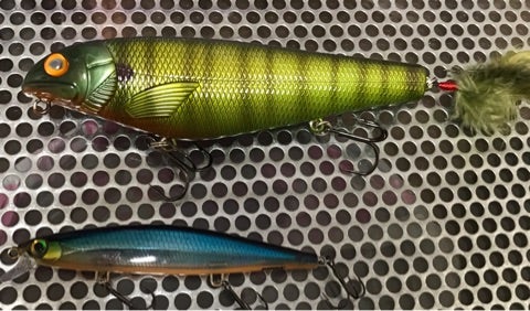 ランカーパンカー | 沼汁スプラッシュ♡ attach to マサイ族