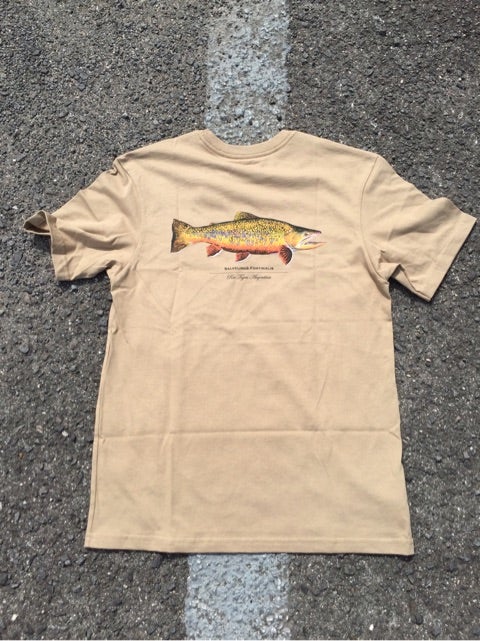 patagonia. world trout t-shirt | BRIDGE