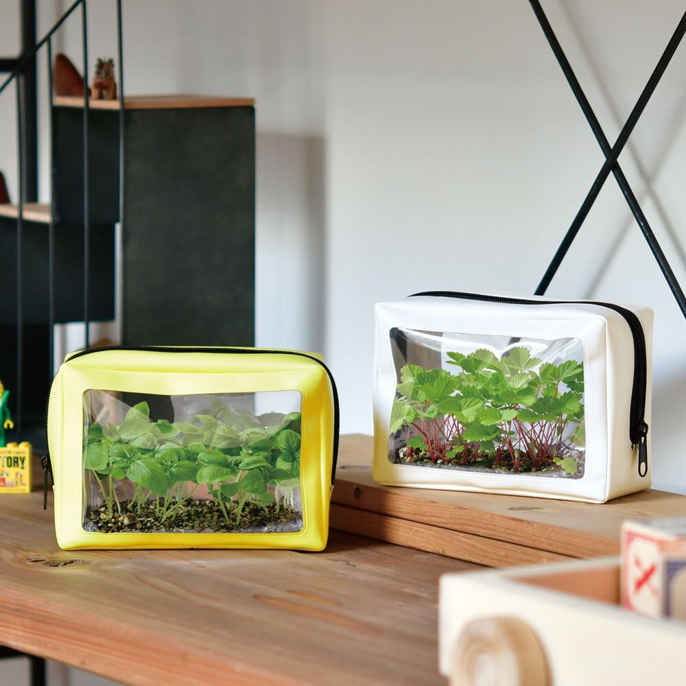 GREEN POUCH グリーンポーチ ワイルドストロベリー GD-1004【栽培