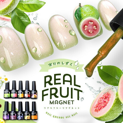 リアルフルーツマグネット マグネットネイル 「RealFruit Magnet