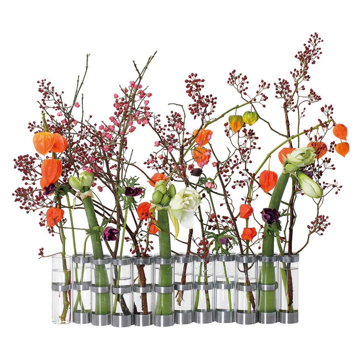 1_000000003077.jpg?v=1755028576