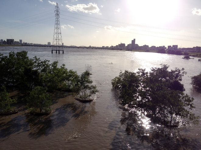 淀川が氾濫ギリギリ？けっこうヤバかったとわかる台風一過