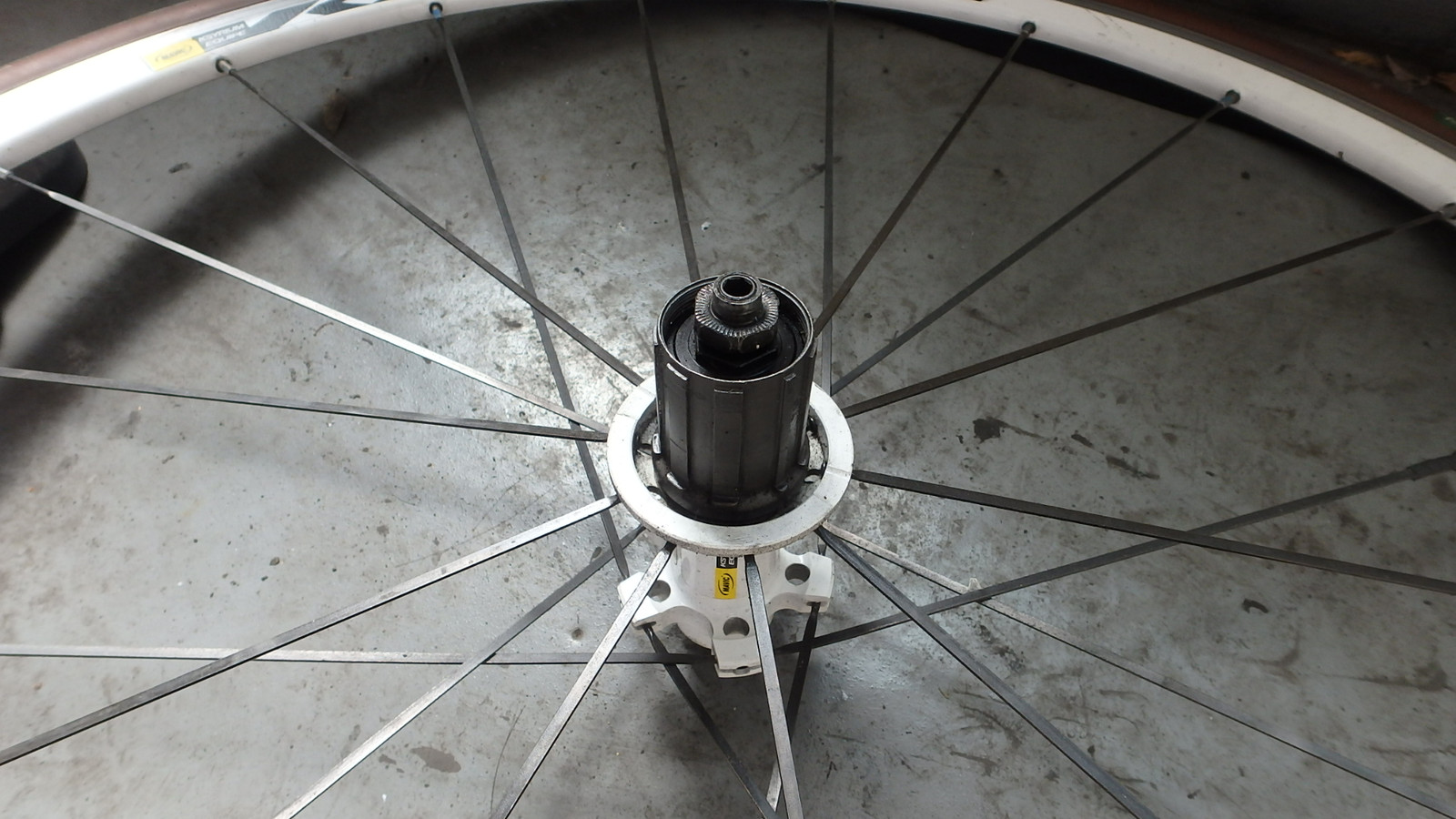 初めてのハブ メンテ ～ Mavic キシリウム エキップ ～: ロードバイク