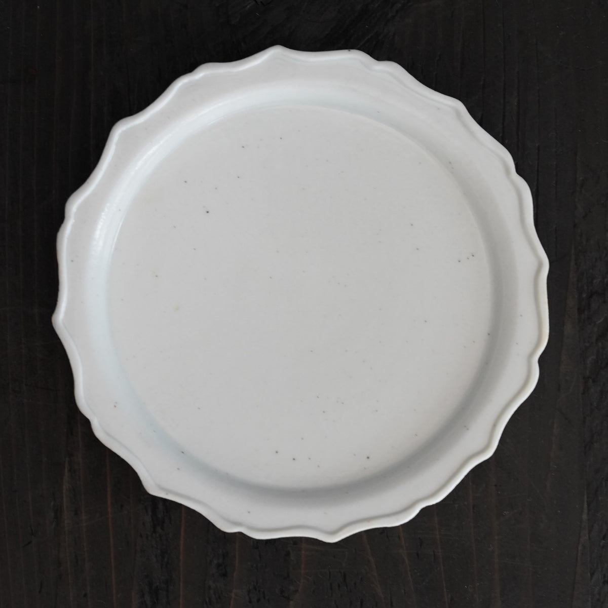 文祥窯 伊万里 オーバル 1枚