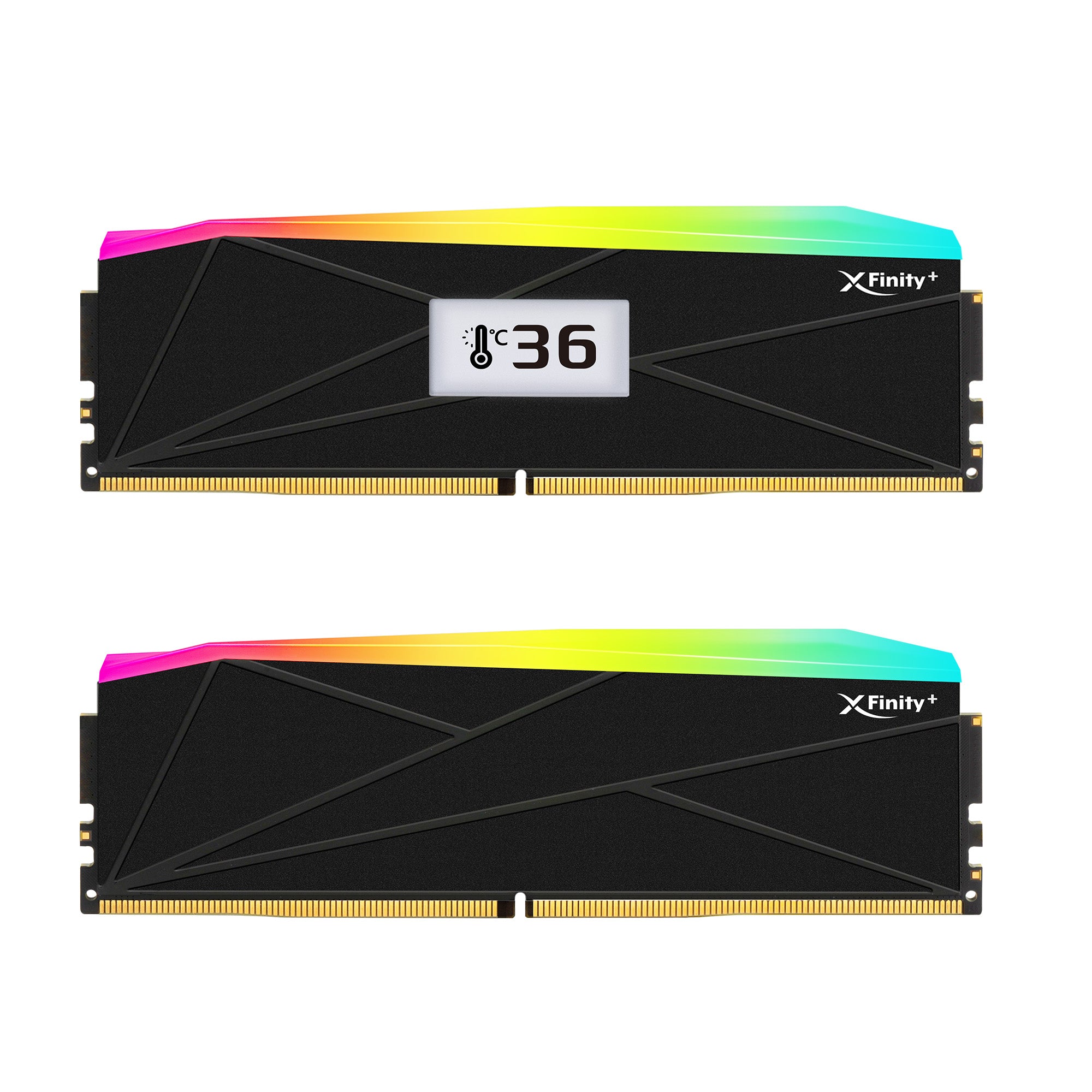 OLED DDR5 | [Manta] XFinity+ ARGB | Gaming Memory