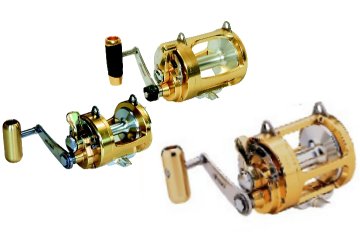 オオクマ タイタスゴールド 2スピード[カジキトローリング] : ビッグ