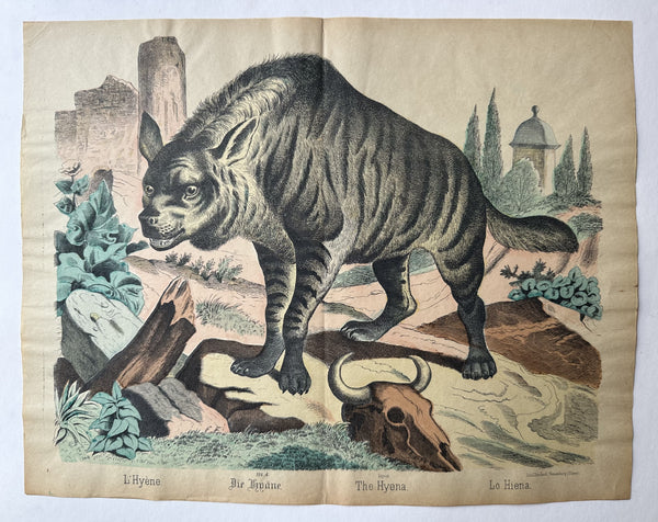 The Hyena No. 124 – Poster Museum