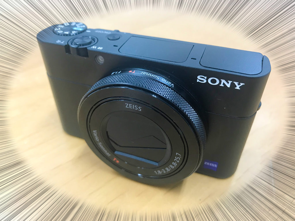 SONYのコンパクトデジカメ（DSC-RX100M5）で水中写真を撮ってみた
