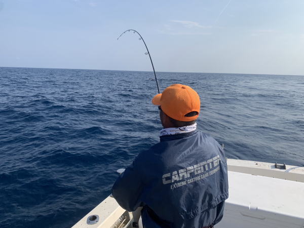 カーペンター BLC86／10 ms マイクロスナイパー ブルーチェイサー