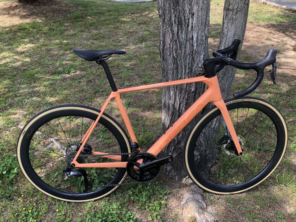 ORBEA オルベアの試乗車が登場！ | Climb cycle sports