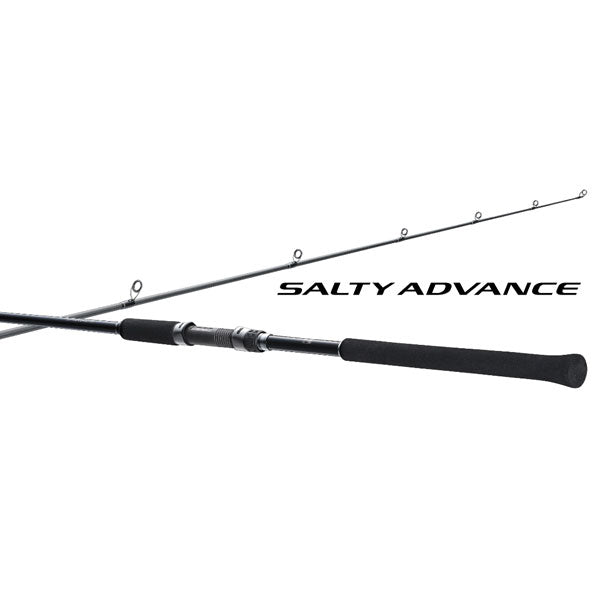 19 ソルティーアドバンス チニングS 2023年新製品 – フィッシング