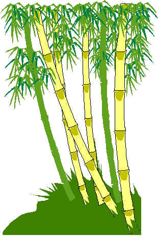 バンブーロッド split cane rods フライロッド製作 bamboo rods maker