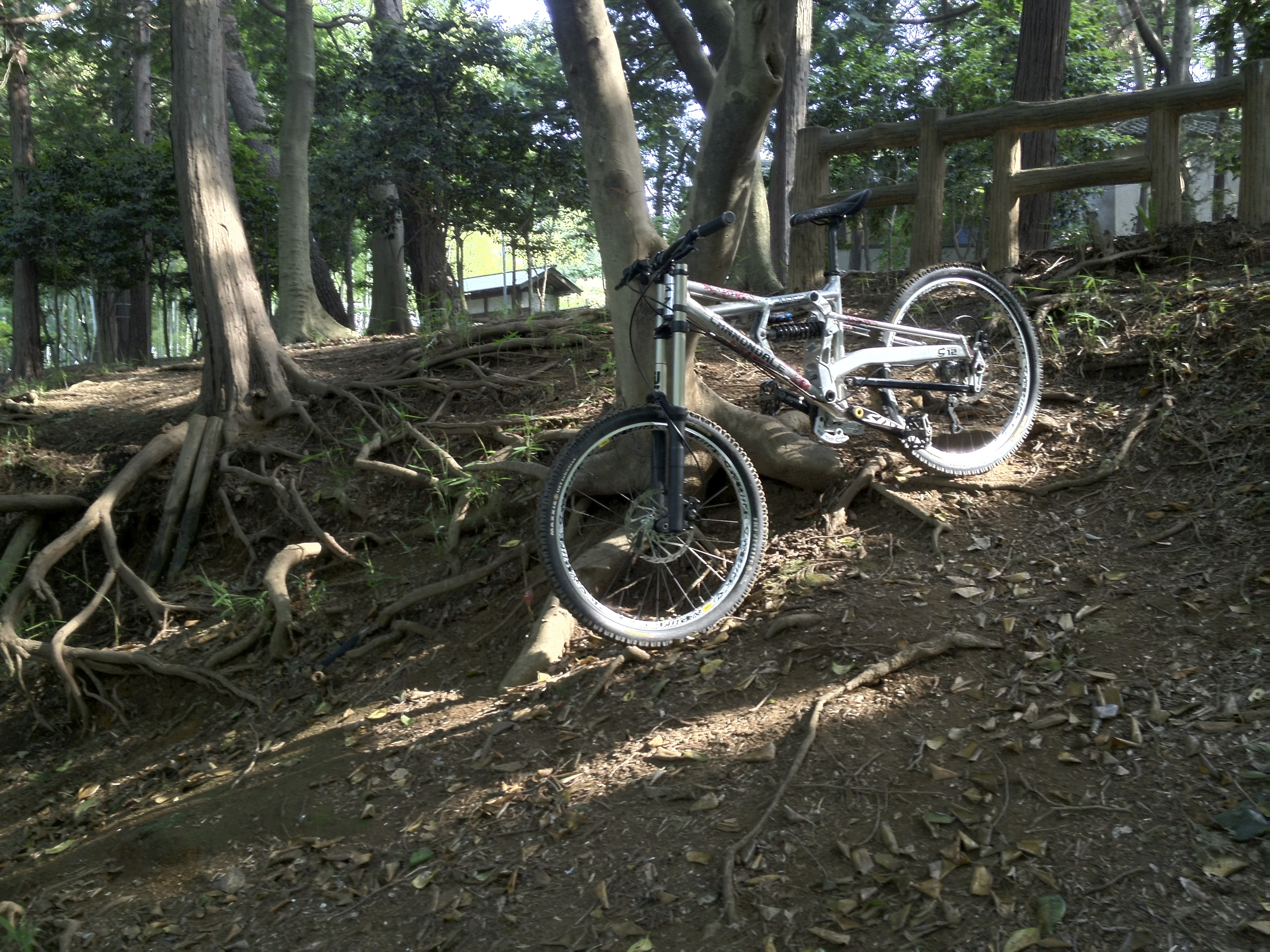 Cannondale Judge | ICOの秘密