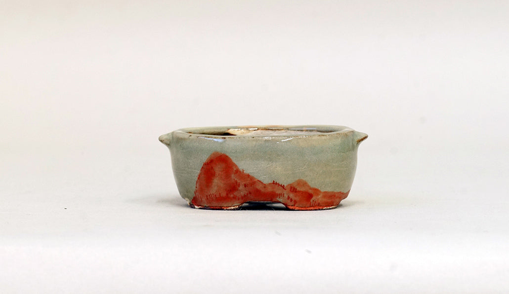 盆栽鉢ストアゆきもの｜盆栽鉢｜月山｜赤絵の小判鉢 JG236