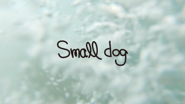 Small Dog | 303 SURFBOARDS | スリーオースリー オフィシャルサイト