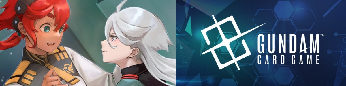 Card Album](USED) ポケモンカードゲーム コレクションファイル