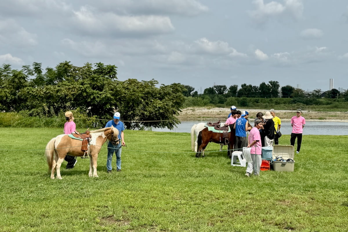 丘のまち～東京・多摩市に暮らす～ » Blog Archive » 「せいせき