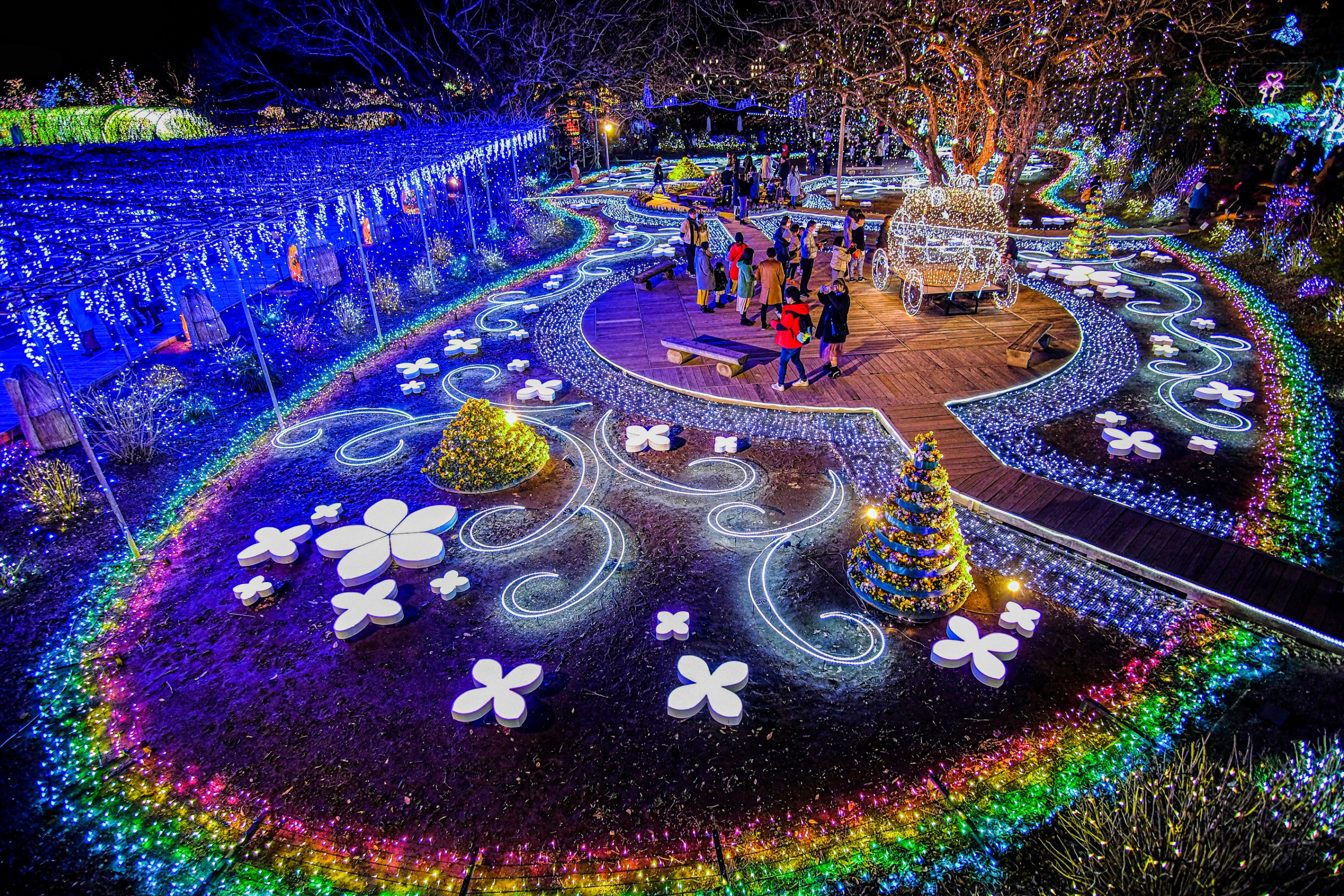 あしかがフラワーパーク 光の花の庭 Flower Fantasy｜2025-2026