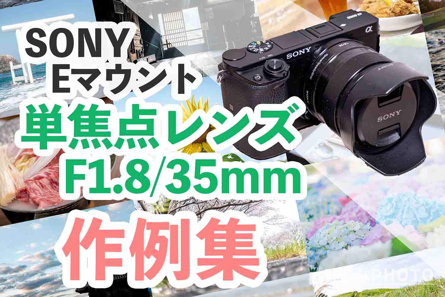 α6000シリーズ】単焦点レンズ[SEL35F18]の作例集！ジャンル別に紹介